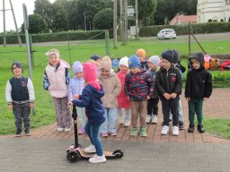 2025-09-26 Biedronki w Chojnie